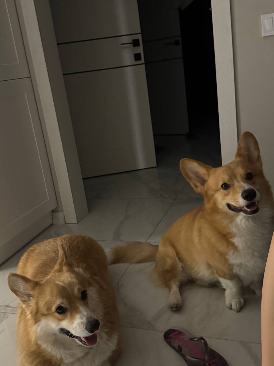 Andrew & Fedor( the dog )